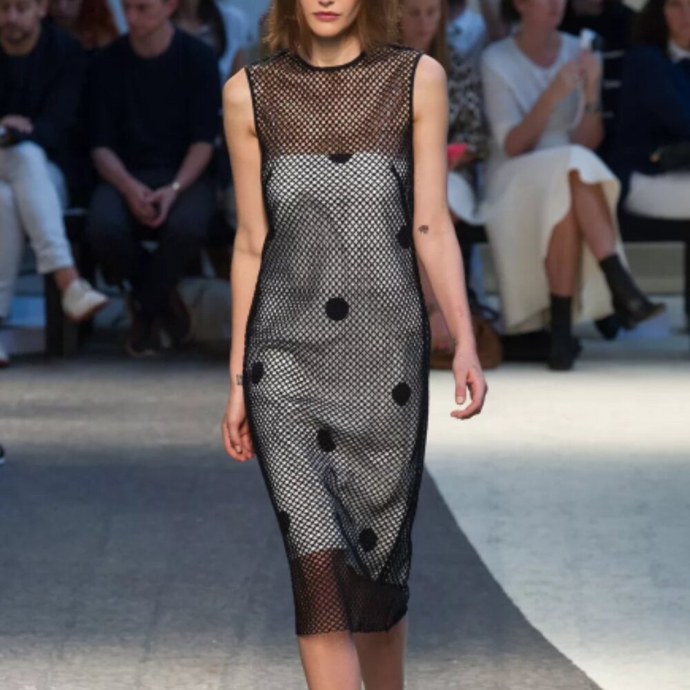 Sportmax defile  Sheer Sheath Dress  size 12